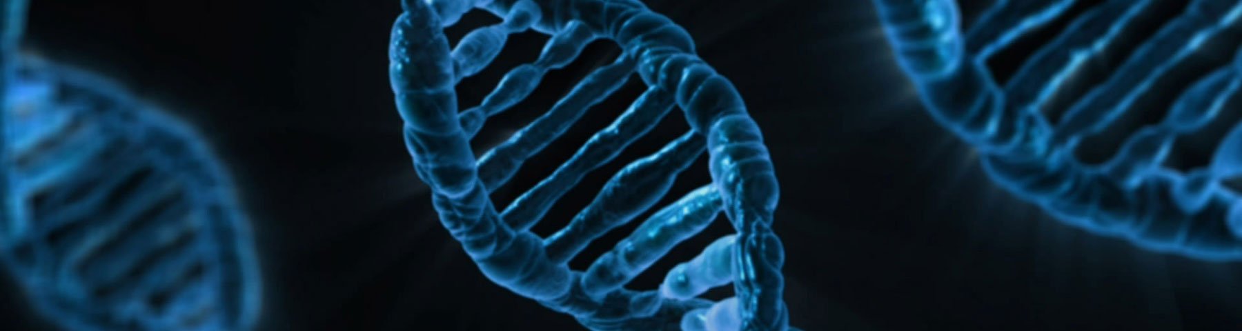 Picture of DNA biology