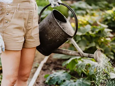 Gardening-Tips.jpg