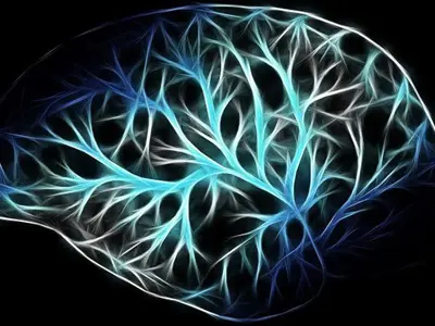 brain.jpg